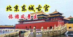 黄色片免费观看破处中国北京-东城古宫旅游风景区